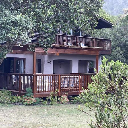 Forest Drive Holiday Home Natureʼs Valley Exterior foto